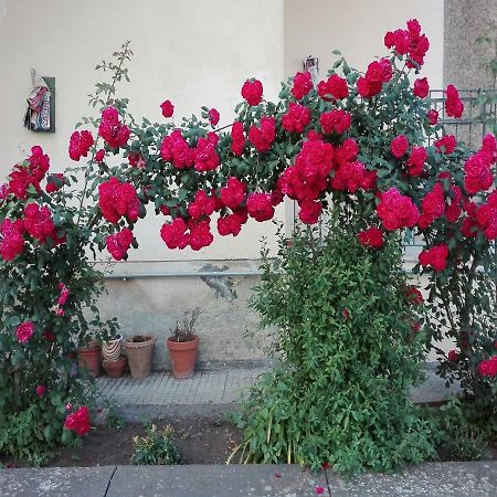 Casa Sciotto Διαμέρισμα Linguaglossa Εξωτερικό φωτογραφία