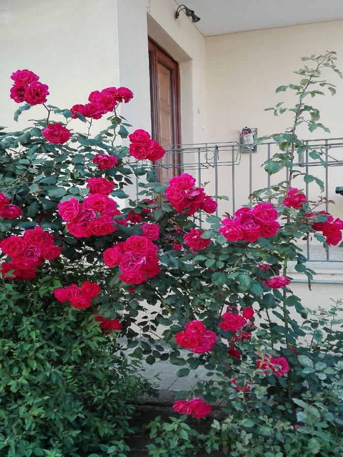 Casa Sciotto Διαμέρισμα Linguaglossa Εξωτερικό φωτογραφία